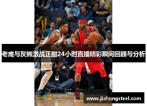 老鹰与灰熊激战正酣24小时直播精彩瞬间回顾与分析